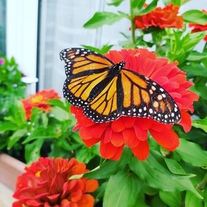 Hello my name is Jen, I love lovenotes❤